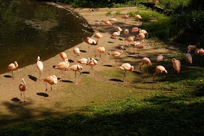 Photos of Zoo Dortmund