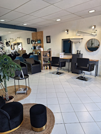 Le Salon O'Mamori Logo