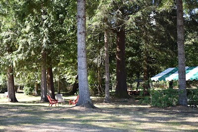 Christmas Creek Tree Farm