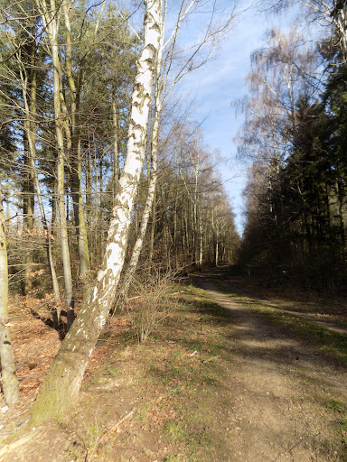 Parkplatz Wiedenfelder Tiefe - Thumbnail
