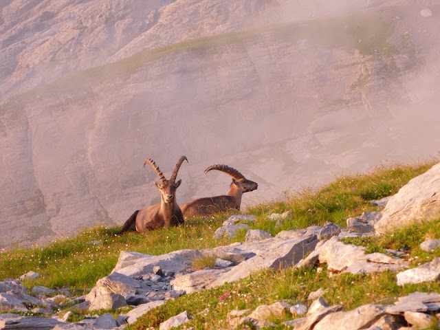 Oeschinensee