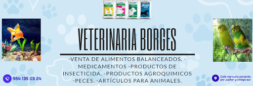 Veterinaria Borges