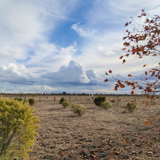 Stone Lakes National Wildlife Refuge | Admin Building And Visitor Contact Station - Thumbnail