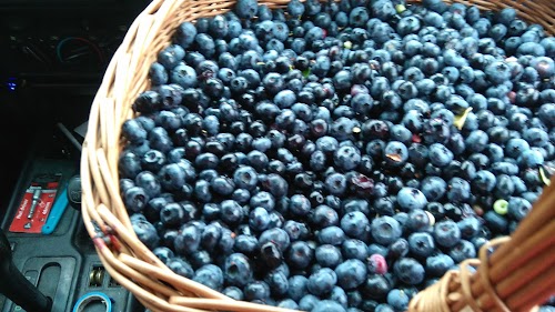 Ievērojamu vietu apskate