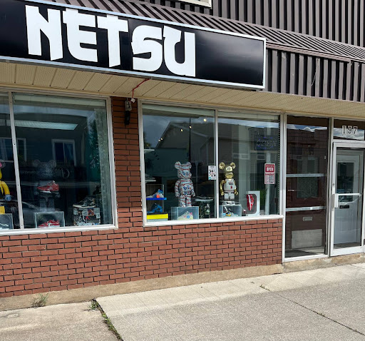 Netsu - Visual