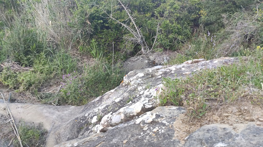 Pañuela - Visual