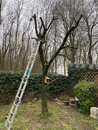 Photo n°17 de Allo Paysagiste à Ris-Orangis (Service d'élagage)