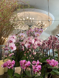 Photo n°6 de Séraphine à Paris (Fleuriste)