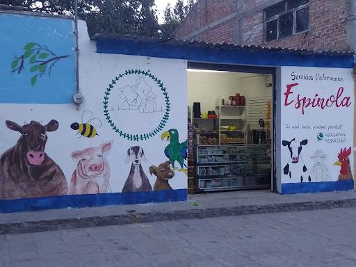 Servicios Veterinarios "ESPÍNOLA" Gallery - Mexico