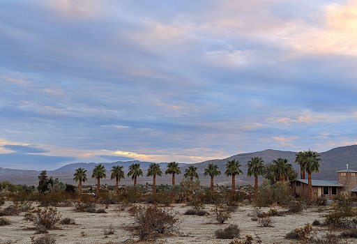 Borrego Springs Off-Leash Dog Area - Thumbnail