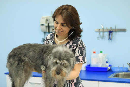 Centro Clínico Veterinario Soraya Sebastián