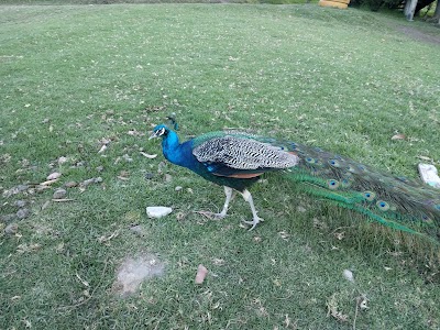 Photos of Parque zool&oacute;gico Gu&aacute;tika