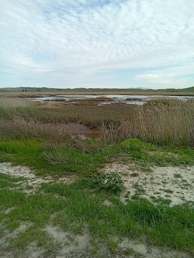 Hill Sough Wildlife Area - Thumbnail