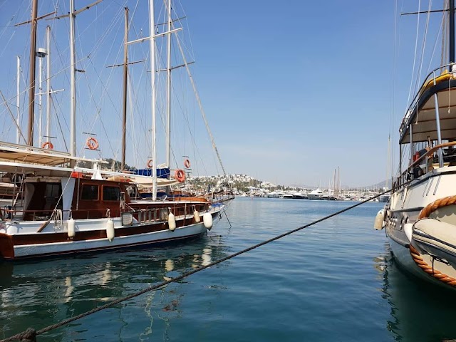 Bodrum