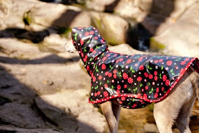 Fetching Dogwear