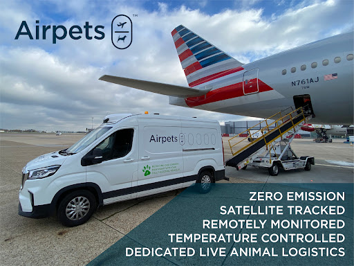 Airpets - Visual