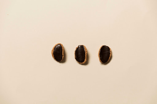 BISC-OTTO - Visual