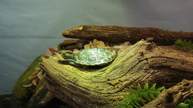 Zoo Ecomuseum