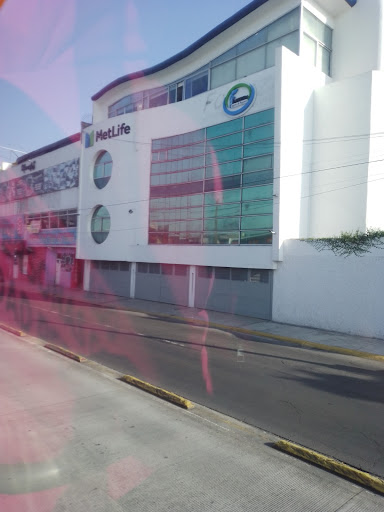 Bar La Fortaleza - Thumbnail