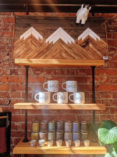 Scout and Pine - Visual