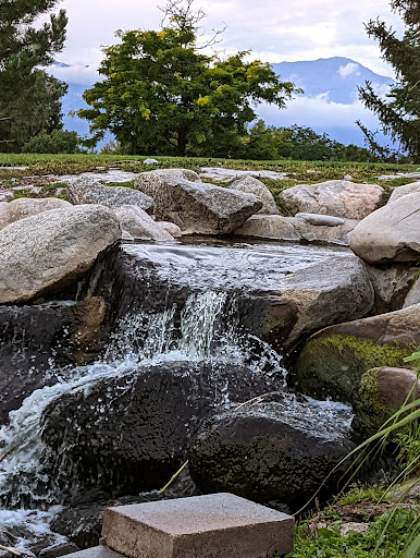 Nancy Lewis Park Gallery - United States