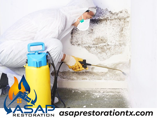 Water Damage Restoration Houston