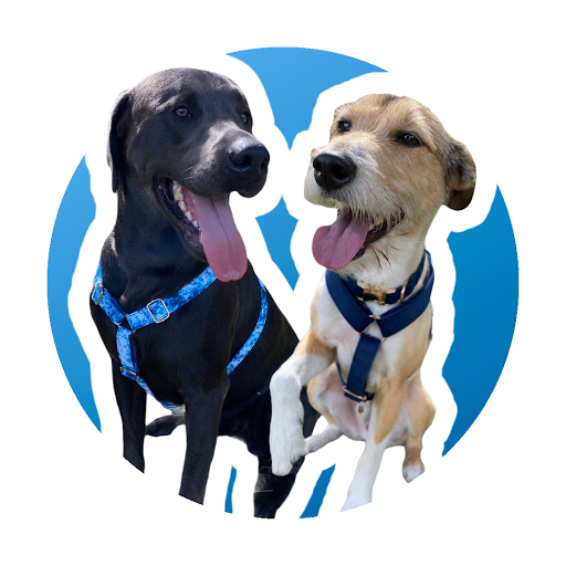 Yappy Tails - Visual