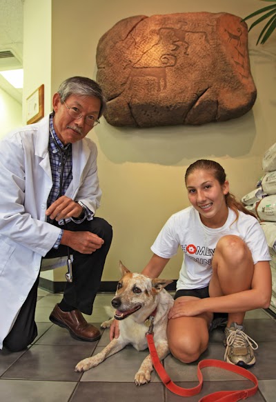 The Honolulu Pet Clinic