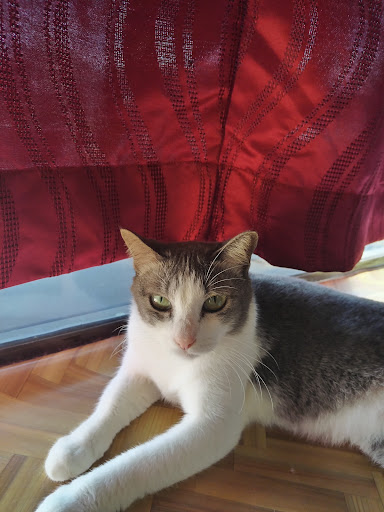 HOTEL SI MEOW