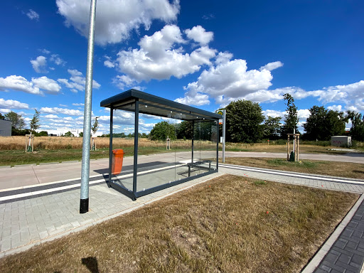 Osterwedingen - Thumbnail