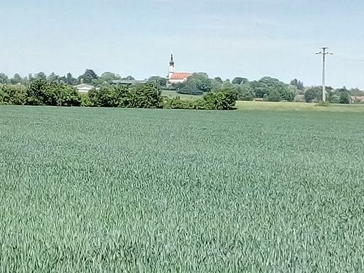 Stammham - Visual
