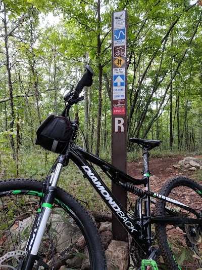 Coldwater Mountain Bike Trails, Anniston Trailhead