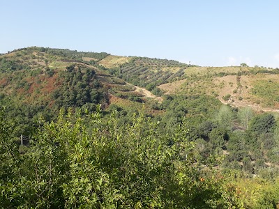 Photos of شهابی