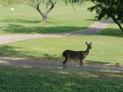 Mill Creek Golf Club - Thumbnail