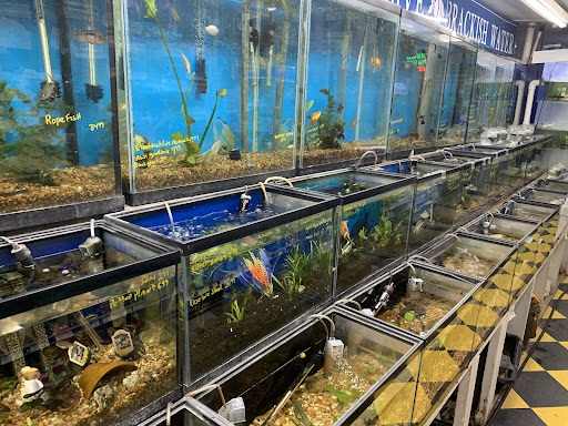 Brooklyn Zoo & Aquarium Pet Store - Thumbnail
