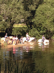 Photo n°3 de Les Écuries de Cordelas, centre équestre et pensions Limoges à Panazol (Entraîneur de chevaux)