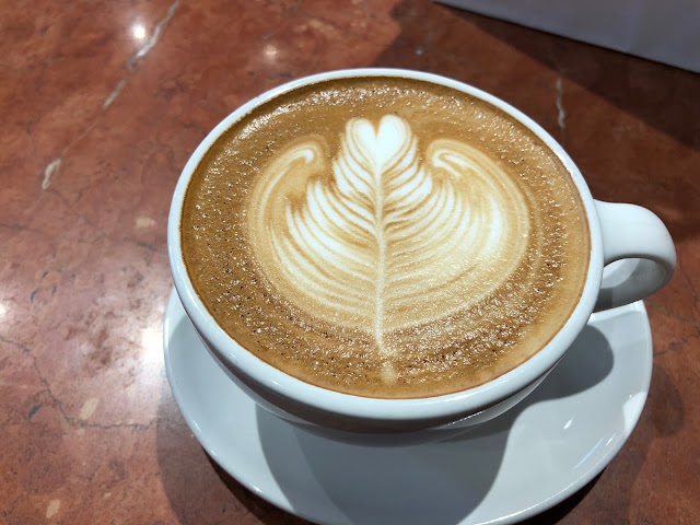 Blue Bottle Coffee Kiyosumi Shirakawa Roastery & Cafe