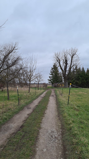 Lutersgarten - Thumbnail