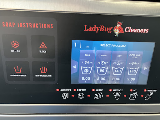 Ladybug Laundry - Visual