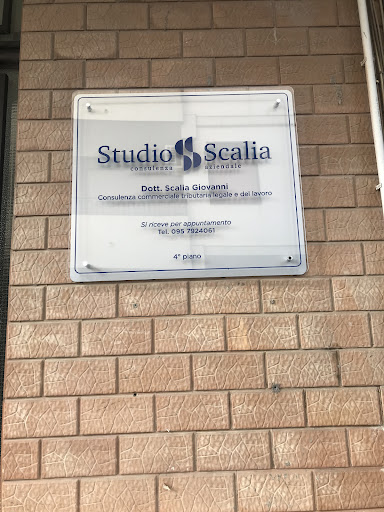 STUDIO SCALIA