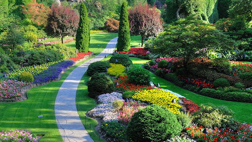 AWR OGRODY niebanalne