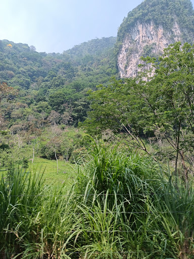Solosuchiapa - Visual