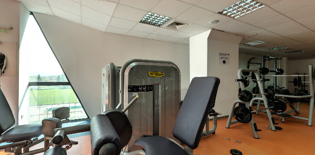 https://balkan-basket.com/