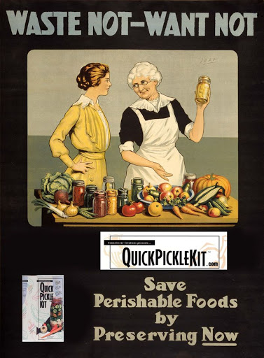 Quick Pickle Kit - Visual