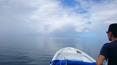 Photos of Pirate Diving Service & Guest House