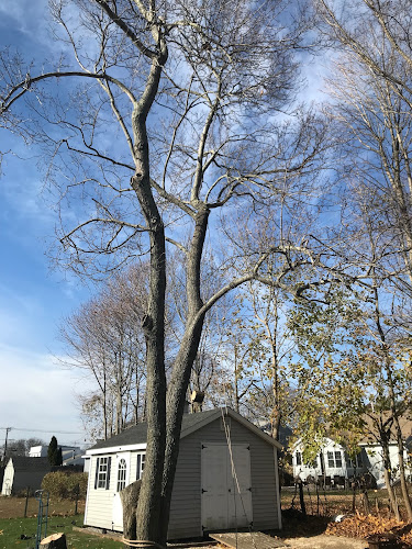 Bosco Construction LLC