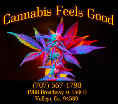 Photo of Cannabis Feels Good