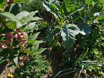 Le Jardin-Forêt du Chambon à Tourtoirac