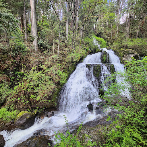 Steelhead Falls View Point - Thumbnail