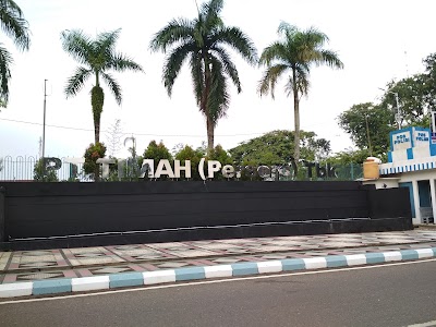 Photos of PT Timah (Persero) Tbk